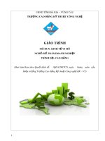Giáo trình mô đun Kinh tế vi mô (Nghề Kế toán doanh nghiệp - Trình độ cao đẳng) – CĐ Kỹ thuật Công nghệ BR–VT