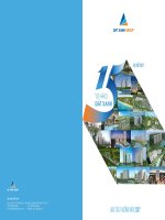 BÁO CÁO THUÒNG NIÊN 2017.TẬP ĐOÀN ĐẤT XANH