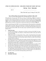 CÔNG TY CỔ PHẦN PLUTOS  Quy chế hoạt động sàn giao dịch thương mại điện tử