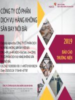 BÁO CÁO THƯỜNG NIÊN 2019  CÔNG TY CỔ PHẦN DỊCH VỤ HÀNG KHÔNG SÂN BAY NỘI BÀI