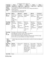 giao an chu de ban than