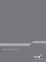 NGÂN HÀNG THƯƠNG MẠI CỔ PHẦN QUỐC TẾ VIỆT NAM VIB.BÁO CÁO THƯỜNG NIÊN 2015