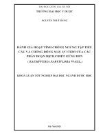 Đánh giá hoạt tính chống ngưng tập tiểu cầu và chống đông máu in vitro của các phân đoạn dịch chiết cây gừng đen (kaempferia parviflora wall) 