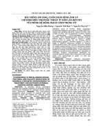 Đặc điểm lâm sàng, chẩn đoán hình ảnh và chỉ định điều trị phẫu thuật ít xâm lấn đối với túi phình hệ động mạch cảnh trong vỡ