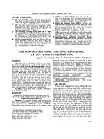 Đặc điểm hình ảnh thủng tạng rỗng trên X quang, cắt lớp vi tính và siêu âm ổ bụng