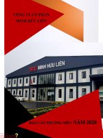 CÔNG TY CỔ PHẦN MINH HỮU LIÊN BÁO CÁO THƯỜNG NIÊN 2020