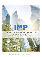 CÔNG TY CỔ PHẦN QUẢN LÝ CÔNG NGHIỆP VÀ XÚC TIẾN ĐẦU TƯ HỒ SƠ NĂNG LỰC CÔNG TY GIỚI THIỆU DỊCH VỤ TEAM KỸ THUẬT DỰ ÁN ĐÃ VÀ ĐANG THỰC HIỆN