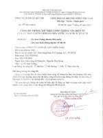 BÁO CÁO THƯỜNG NIÊN NĂM 2020 CÔNG TY CỔ PHẦN PIN ẮC QUY MIỀN NAM (PINACO)