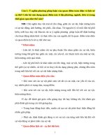 Quan điểm toàn diện và lịch sử