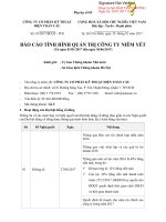 CÔNG TY CỔ PHẦN KỸ THUẬT ĐIỆN TOÀN CẦU BÁO CÁO TÌNH HÌNH QUẢN TRỊ CƠNG TY NIÊM YẾT (Từ ngày 01/01/2017 đến ngày 30/06/2017)