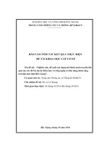 BÁO CÁO KẾT QUẢ KHCN Tên đề tài: “Nghiên cứu, đề xuất xây dựng mô hình tuyên truyền kết nối đề tài, dự án khoa học công nghệ có khả nhân rộng địa bàn tỉnh Bắc Giang