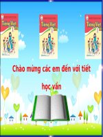 Bài giảng tiếng việt 1 cánh diều ( chuẩn )