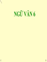 Bai 15 Tinh tu va cum tinh tu