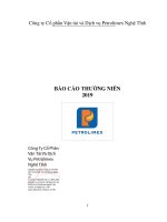BÁO CÁO THƯỜNG NIÊN 2019 Công Ty Cổ Phần Vận Tải Và Dịch Vụ Petrolimex Nghệ Tĩnh