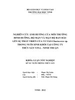 Nghiên cứu ảnh hưởng của môi trường dinh dưỡng, độ mặn và mật độ ban đầu lên sự phát triển của vi tảo chaetoceros sp  trong nuôi sinh khối tại công ty thủy sản vina   ninh thuận    