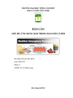 BÁO cáo CHỦ đề ỨNG DỤNG MAP TRONG BAO gói cá hồi 