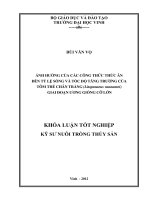 Ảnh hưởng của các công thức thức ăn đến tỷ lệ sống và tốc độ tăng trưởng của tôm thẻ chân trắng (litopenaeus vannamei) giai đoạn ương giống cỡ lớn    