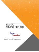 BÁO CÁO THƯỜNG NIÊN 2019 CÔNG TY CỔ PHẦN RƯỢU HAPRO