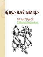 S2 3 LEC8 mô học hệ bạch huyết miễn dịch 