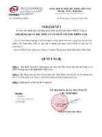 QUY CHẾ BAN KIỂM TOÁN NỘI BỘ 2020 .CÔNG TY CP TM-XNK THIÊN NAM