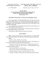 Quyet dinh thanh tra cua Phong GD Tan Hong