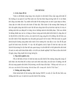 Những mặt tích cực và tiêu cực của kinh tế thị trường, liên hệ thực tiễn  trong nền  kinh tế Việt Nam