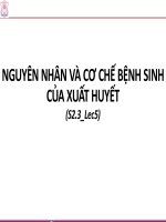 S2 3 lec5 nguyên nhân và cơ chế bệnh sinh của xuất huyết 