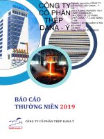 CÔNG TY CỔ PHẦN THÉP DANA - Ý, BÁO CÁO THƯỜNG NIÊN 2019