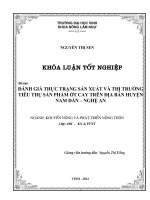 Đánh giá thực trạng sản xuất và thị trường tiêu thụ sản phẩm ớt cay trên địa bàn huyện nam đàn   nghệ an    