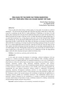 Ứng dụng trí tuệ nhân tạo trong marketing để phát triển bền vững các doanh nghiệp Việt Nam