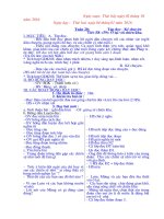 Giao an lop 3 Tuan 20 CKT KNS 20152016 TUNG