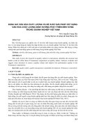 Đánh giá văn hóa chất lượng và đề xuất giải pháp xây dựng văn hóa chất lượng định hướng phát triển bền vững trong doanh nghiệp Việt Nam