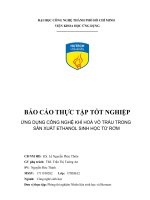 BÁO cáo THỰC tập tốt NGHIỆP ỨNG DỤNG CÔNG NGHỆ KHÍ HOÁ vỏ TRẤU TRONG sản XUẤT ETHANOL SINH học từ rơm 