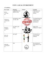 Giáo án luyện chuyên sâu ngữ pháp và bài tập tiếng anh lớp 9 (Dành cho gvhs)