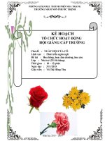 NBTN hoa hong hoa cuc hoa cam chuong Nha Tre 2536 thang