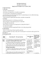 BAI 13 QUANG HOP O CAY XANH