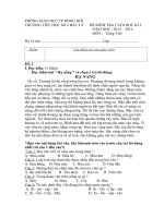 de kiem tra cuoi ki 1 toan va tieng Viet