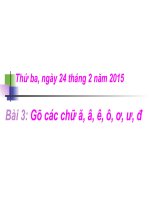 Chuong V Bai 3 Go cac chu a a e o o u d