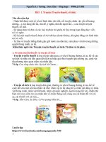 Tài liệu để soạn giáo án CÁNH DIỀU