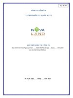 DỰ THẢO CÔNG TY CỔ PHẦN TẬP ĐOÀN ĐẦU TƯ ĐỊA ỐC NO VA. QUY CHẾ QUẢN TRỊ CÔNG TY