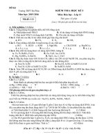 DeDA Hoa HK1 20152016