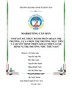 VINFAST đã THỰC HÀNH PHÂN ĐOẠN THỊ TRƯỜNG, LỰA CHỌN THỊ TRƯỜNG MỤC TIÊU VÀ QUYẾT ĐỊNH TRIỂN KHAI CHIẾN LƯỢC ĐỊNH VỊ THỊ TRƯỜNG NHƯ THẾ NÀO 