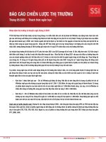 BÁO CÁO CHIẾN LƯỢC THỊ TRƯỜNG Tháng 05/2021