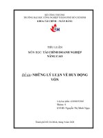 TIỂU LUẬN MÔN HỌC: TÀI CHÍNH DOANH NGHIỆP  NÂNG CAO. Đề tài: NHỮNG LÝ LUẬN VỀ HUY ĐỘNG VỐN