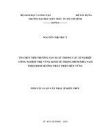 TỔ CHỨC MÔI TRƯỜNG SẢN XUẤT TRONG CÁC XÍ NGHIỆP  CÔNG NGHIỆP NHẸ VÙNG KINH TẾ TRỌNG ĐIỂM PHÍA NAM THEO ĐỊNH HƯỚNG PHÁT TRIỂN BỀN VỮNG TT LUẬN VĂN THẠC SĨ