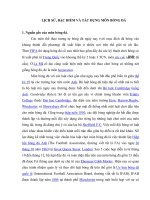 LÝ THUYẾT BÓNG ĐÁ KỲ II NĂM HỌC 2021-2022 .LỊCH SỬ, ĐẶC ĐIỂM VÀ TÁC DỤNG MÔN BÓNG ĐÁ