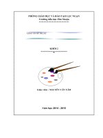 giao an mi thuat lop 2 ca nam