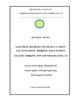 Giải pháp mở rộng tín dụng cá nhân tại ngân hàng thương mại cổ phần sài gòn thương tín chi nhánh long an