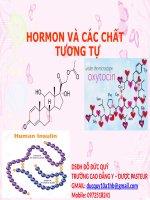 1 BG HORMON VA CAC CHAT TUONG TU