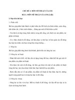 Giáo án Mĩ thuật 1 sách Cánh Diều (Cả năm)